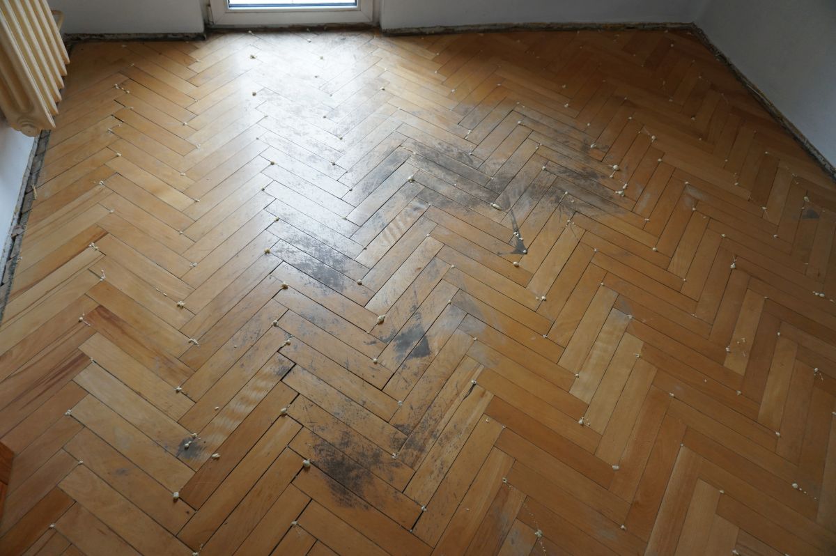 Podklejanie Cyklinowanie Parkietu Bukowego Przed 01